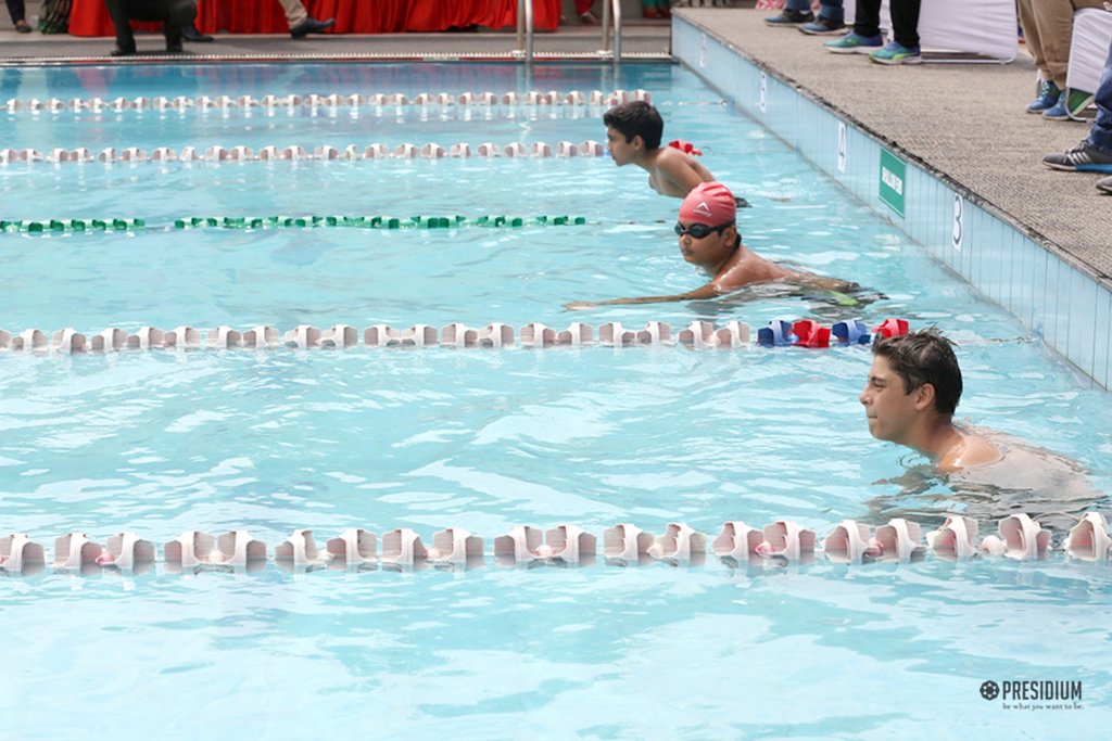 Swimming schools
